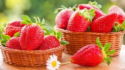 lao dong nhat ban dau tay00