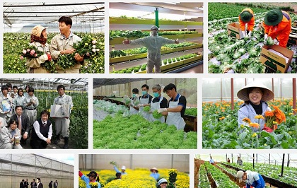 Những đơn hàng nông nghiệp có tiềm năng trong năm 2024 1 don hang nong nghiep nhat ban