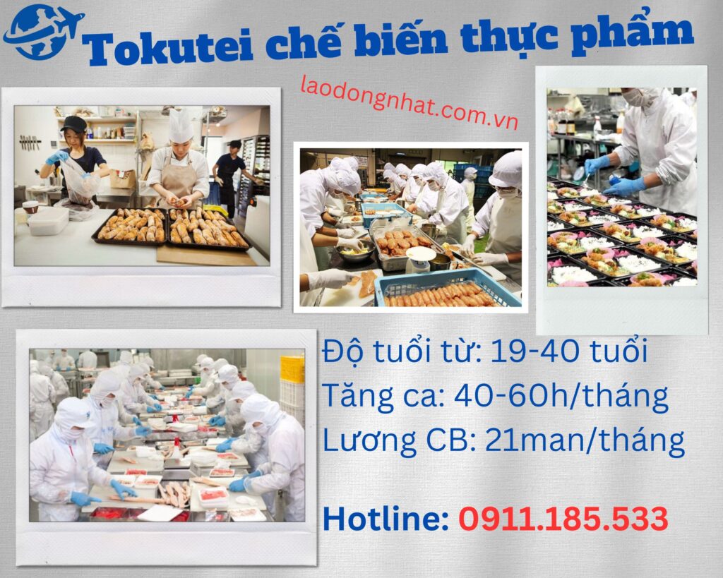 XKLĐ Nhật Bản diện Tokutei chế biến thực phẩm đa dạng công việc để lựa chọn