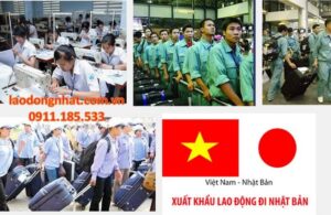 xkld nhat don hang dong goi cong nghiep6 1